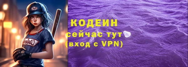 spice Няндома