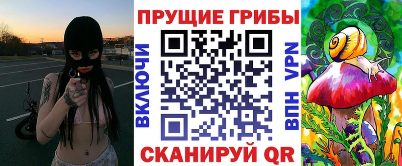 Галлюциногенные грибы мицелий  магазин    omg онион  Таштагол 